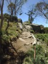 Thredbo DH 2